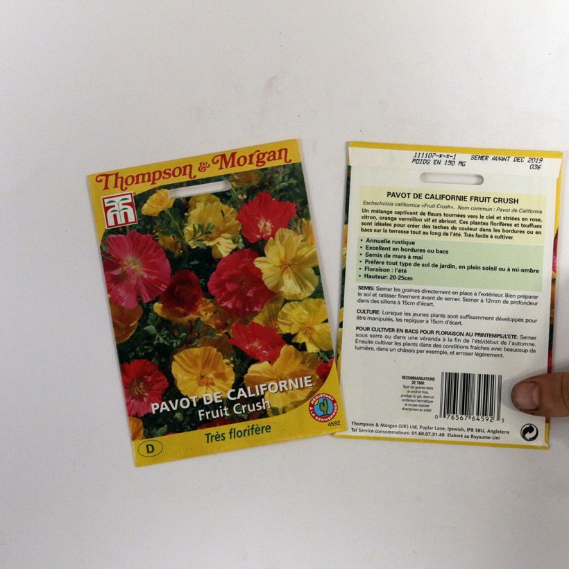 Example of California Poppy Fruit Crush Seeds - Eschscholzia californica per pack of 150 seeds specimen as delivered