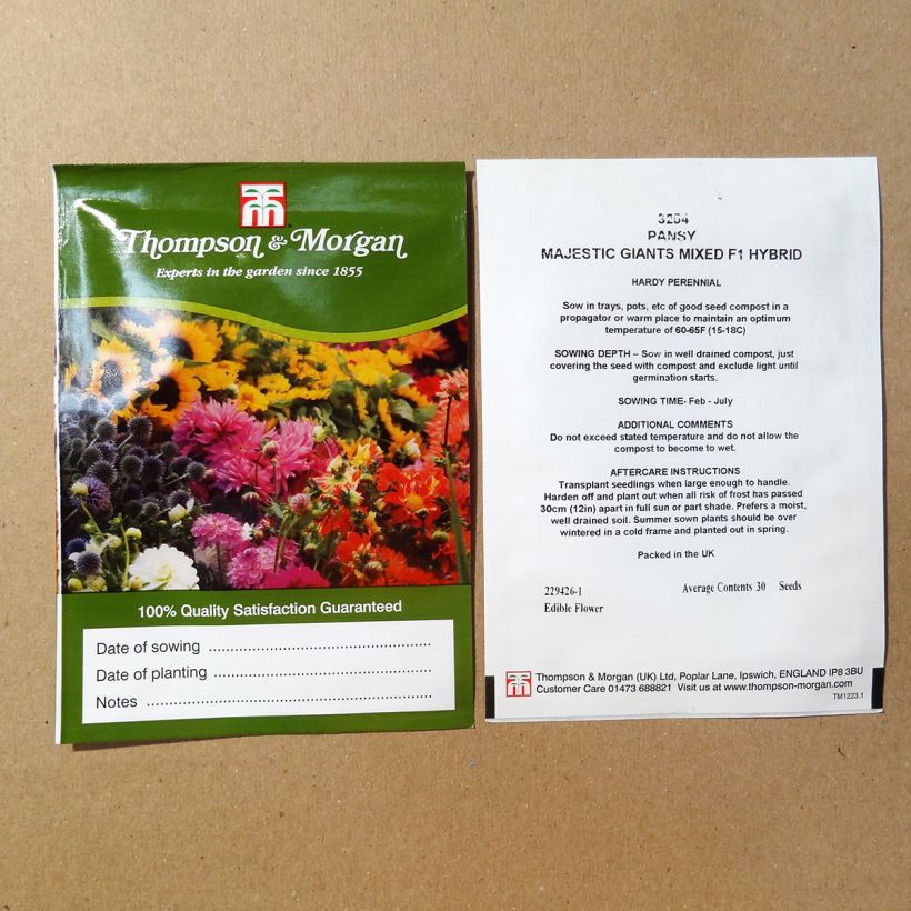 Example of Viola x wittrockiana Majestic Giant Mixed - Pansy per pack of 30 seeds specimen as delivered