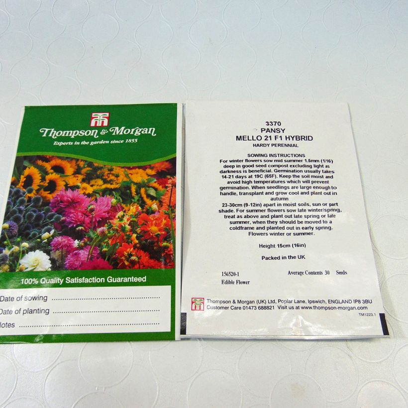 Example of Viola Mello 21 F1 - Swiss Garden Pansy Seeds per pack of 30 seeds specimen as delivered