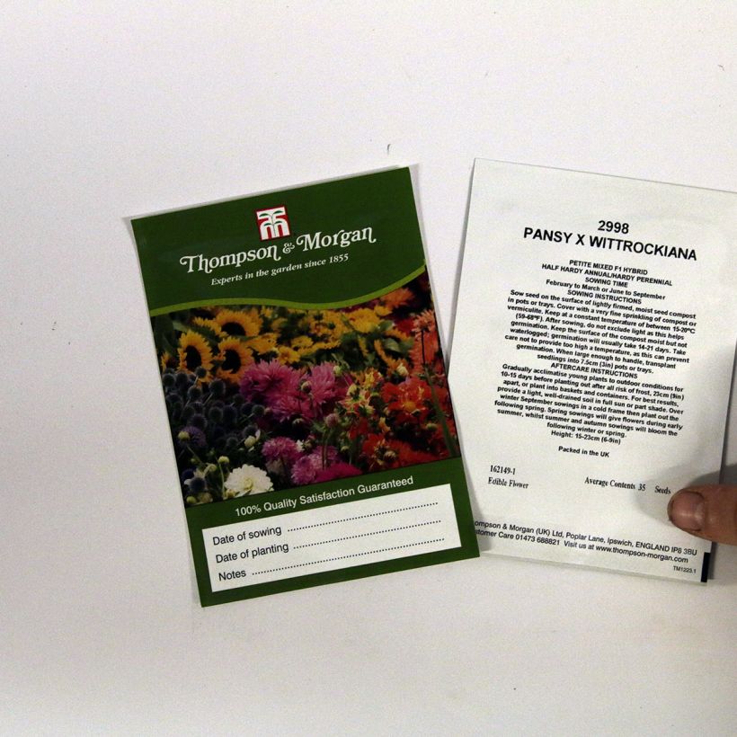 Example of Viola Petite Mixed F1 - Swiss Garden Pansy Seeds per pack of 35 seeds specimen as delivered