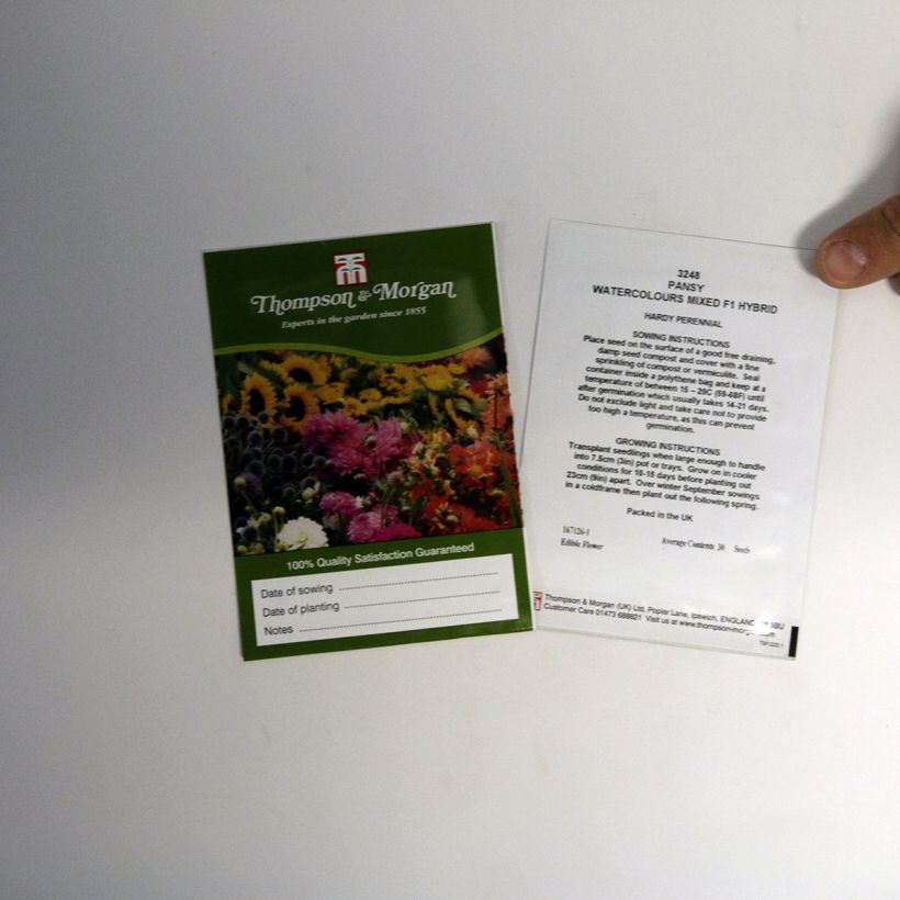 Example of Viola Water Colours Mixed F1- Swiss Garden Pansy Seeds per pack of 30 seeds specimen as delivered