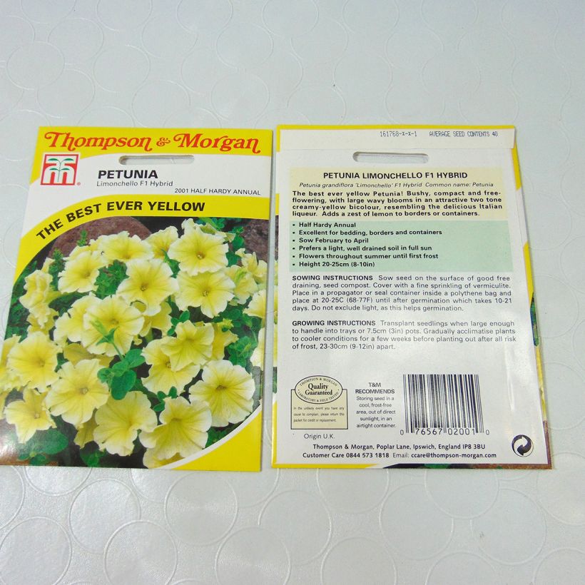 Example of Petunia Limoncello F1 Seeds per pack of 40 seeds specimen as delivered