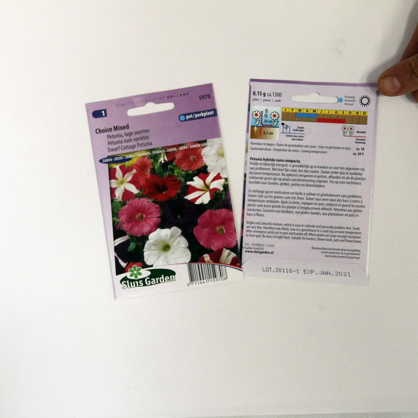 Example of Petunia Choice Mix Seeds specimen as delivered