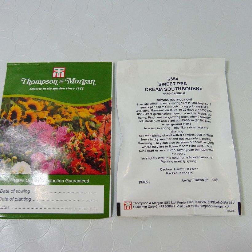 Example of Lathyrus odoratus Cream Southborne - Sweet Pea Seeds specimen as delivered