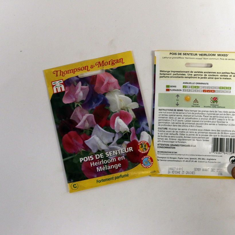 Example of Lathyrus odoratus Heirloom Mixed Sweet Pea Seeds specimen as delivered