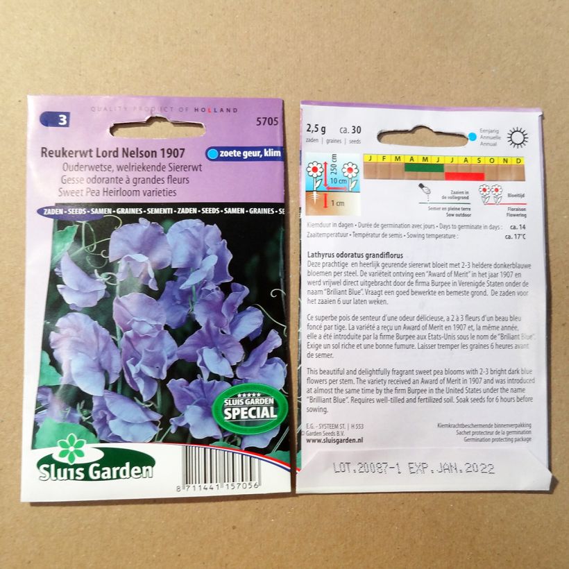 Example of Lathyrus odoratus Lord Nelson - Sweet Pea Seeds specimen as delivered