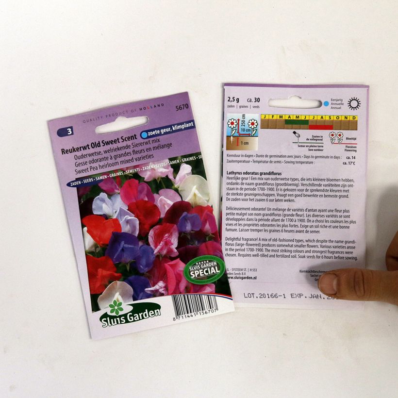 Example of Lathyrus odoratus grandiflora Old Sweet Scent per pack of 30 seeds specimen as delivered