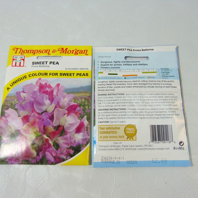 Example of Lathyrus odoratus grandiflora Prima Ballerina - Sweet pea specimen as delivered