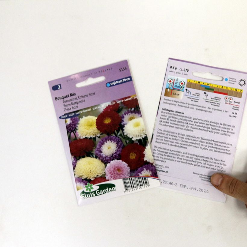 Example of China aster Bouquet Mix Seeds per pack of 300 seeds (0,8g) specimen as delivered