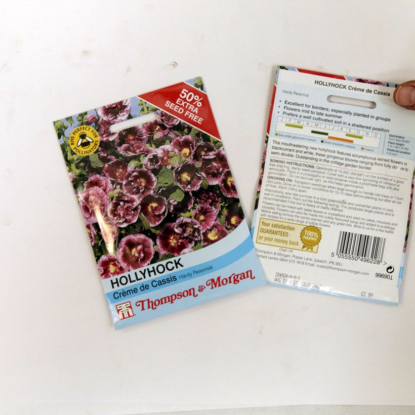 Example of Alcea rosea Crème de cassis - Hollyhock per 0.48 g seed pack specimen as delivered