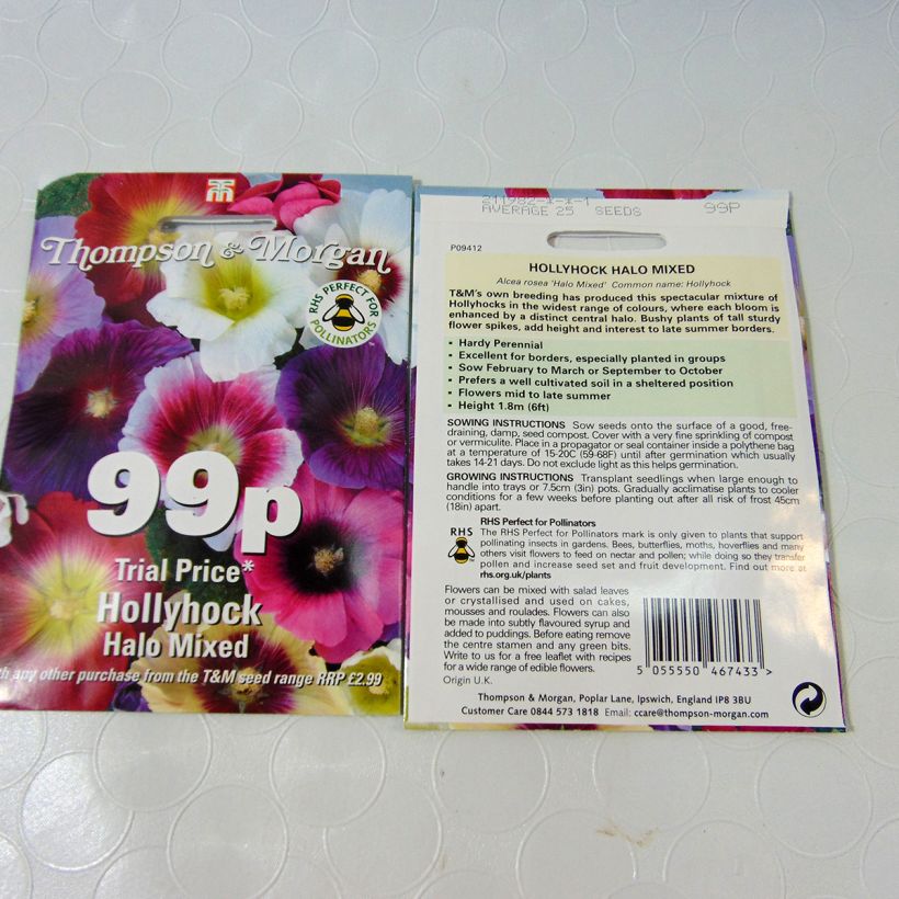 Example of Alcea rosea Halo Mixed - Hollyhock per pack of 25 seeds specimen as delivered