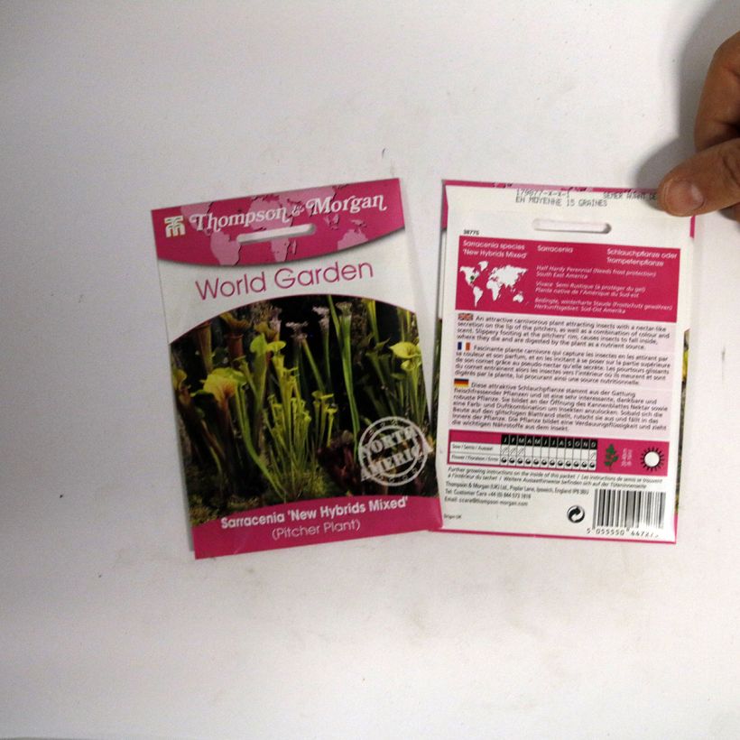 Example of Sarracenia New Hybrids per pack of 15 seeds specimen as delivered