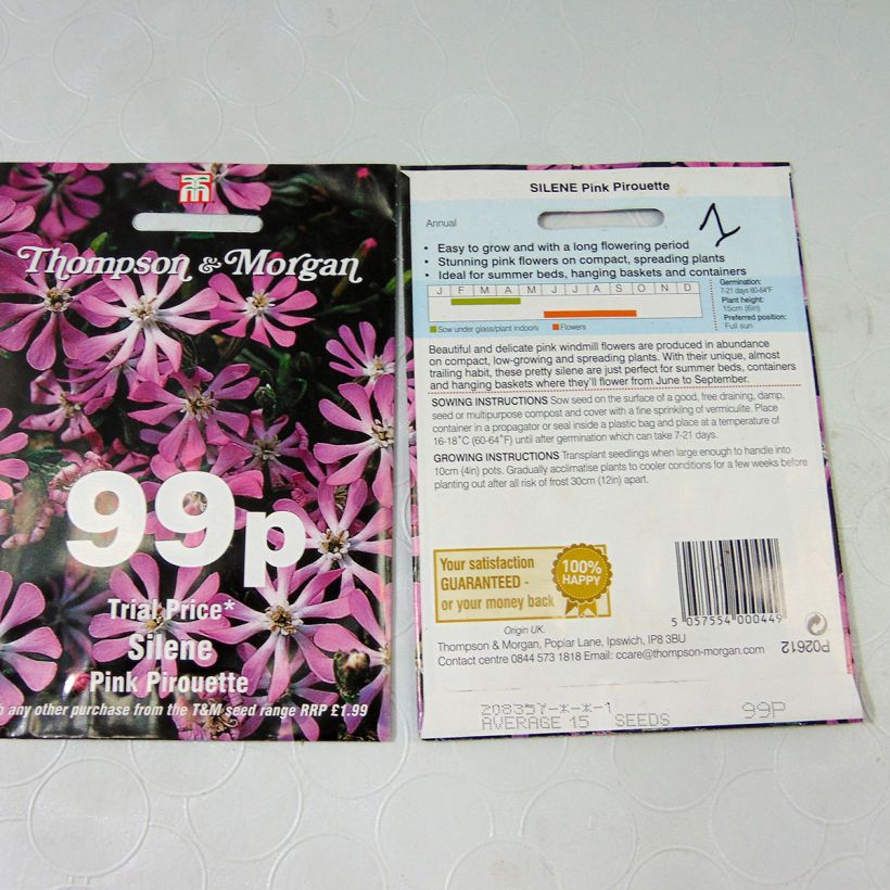 Example of Silene colorata Pink Pirouette - Catchfly per pack of 15 seeds specimen as delivered