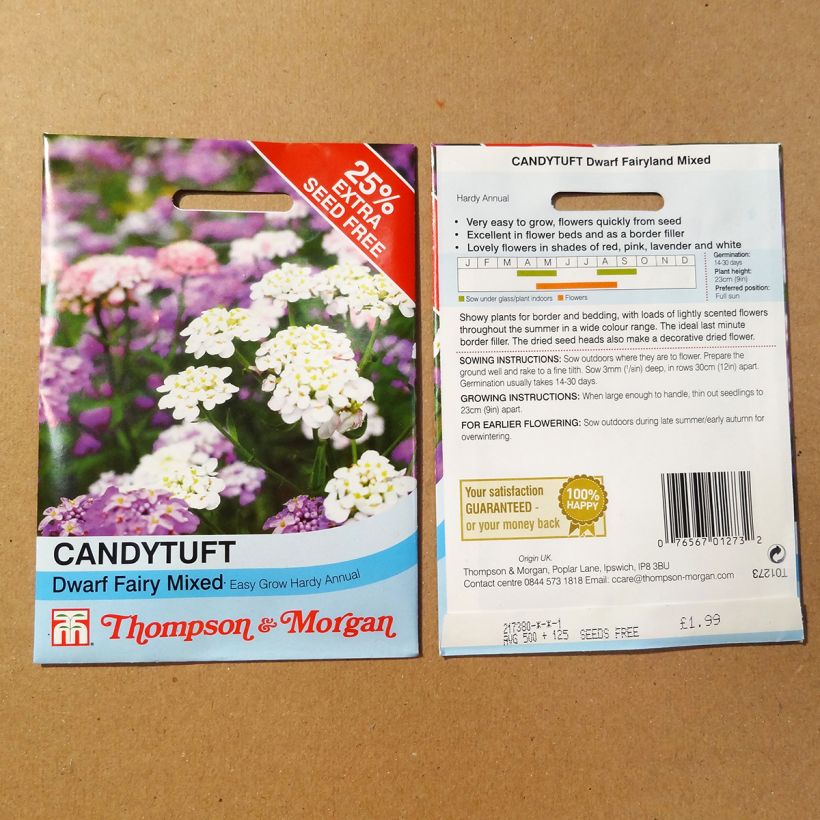 Example of Iberis umbellata Candytuft Fairy Mixed Seeds specimen as delivered