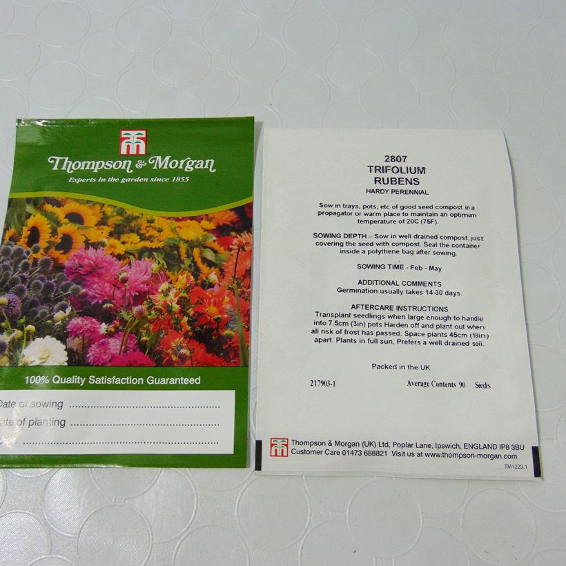 Example of Trifolium rubens Seeds - Ruddy clover per pack of 100 seeds (0,25g) specimen as delivered