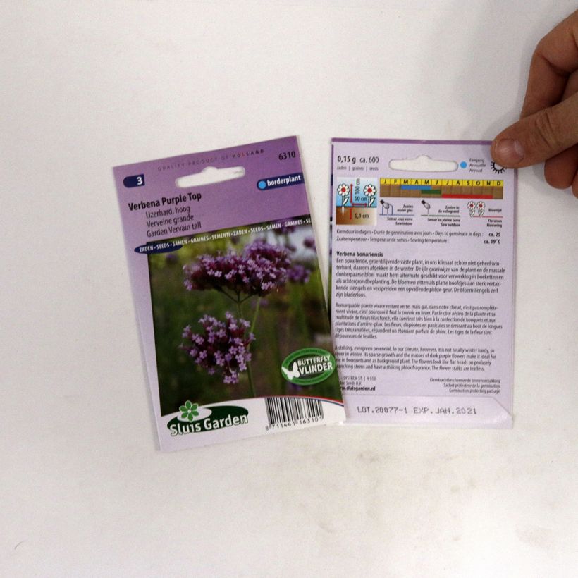Example of Verbena Purple Top - Vervain Seeds specimen as delivered