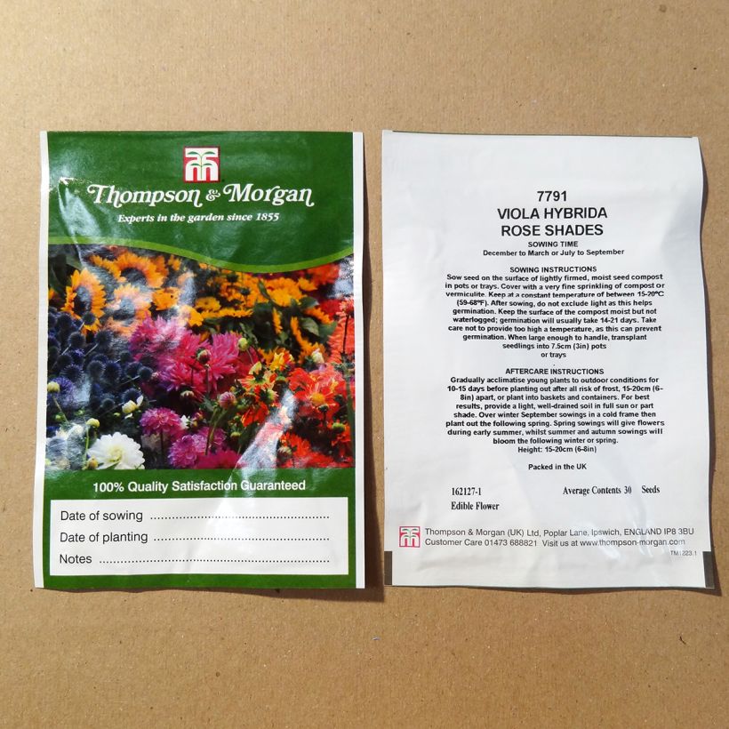 Example of Viola Rose Shades - Swiss Garden Pansy Seeds per pack of 30 seeds specimen as delivered