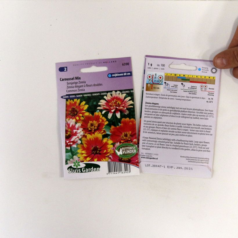 Example of Zinnia elegans Carrousel Mixed Seeds per 1 g seed pack specimen as delivered