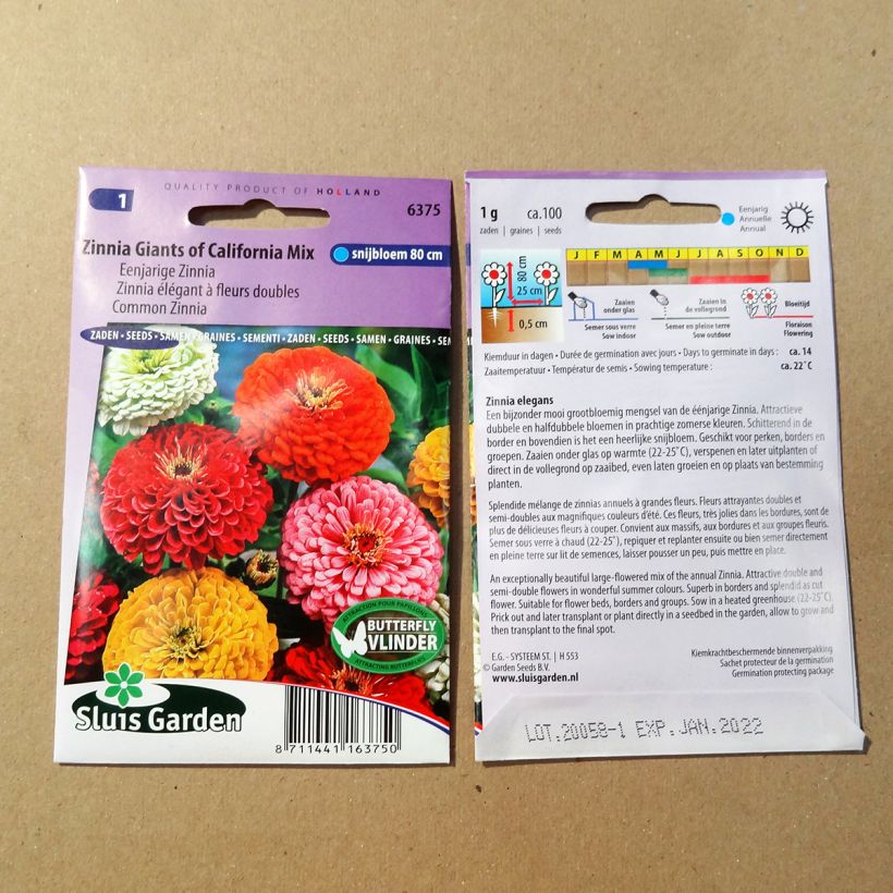 Example of Zinnia California Giants Mix Seeds per pack of 100 seeds (1g) specimen as delivered