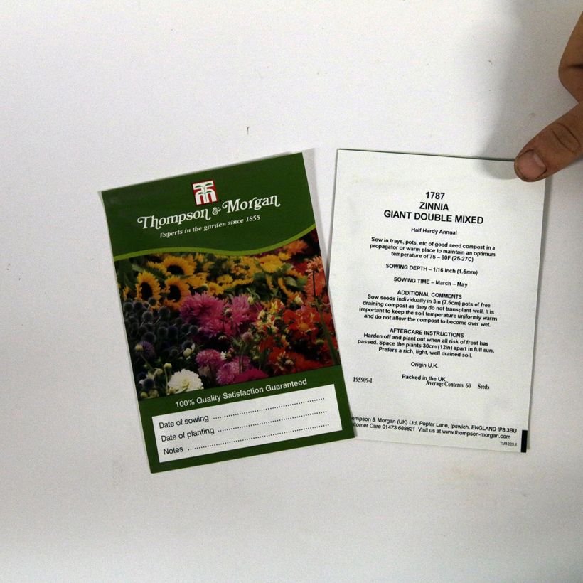 Example of Zinnia elegans Giant Double Mixed Seeds specimen as delivered