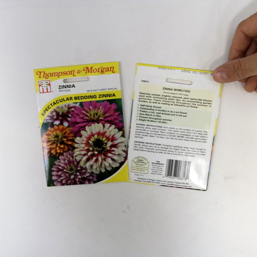 Example of Zinnia elegans Whirlygig Mixed Seeds specimen as delivered