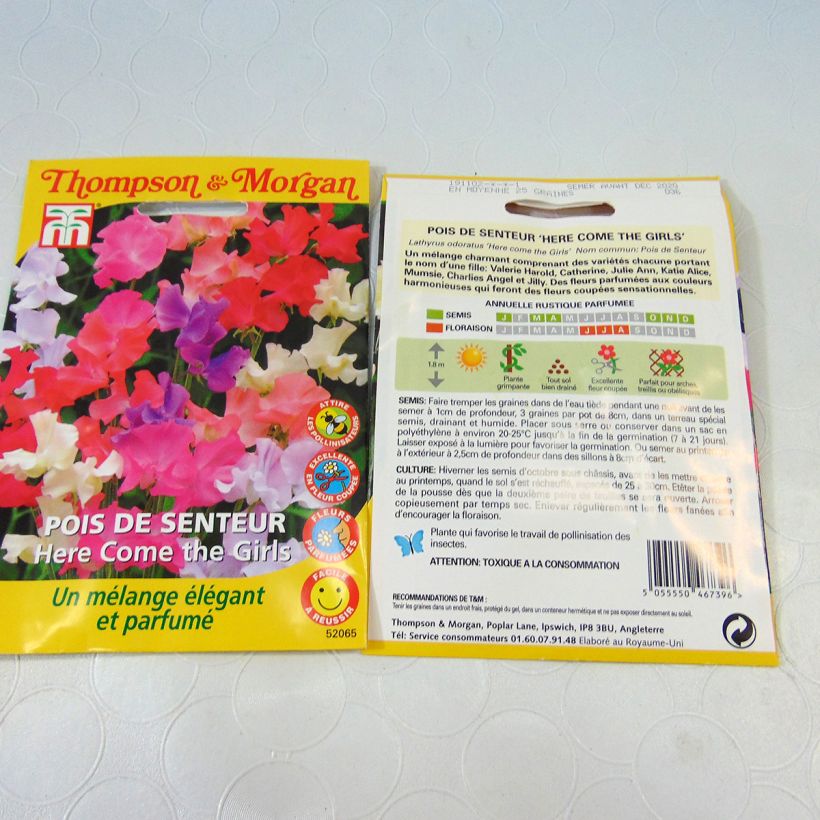 Example of Lathyrus odoratus Here come the Girls - Sweet Pea Seeds per 2 g seed pack specimen as delivered