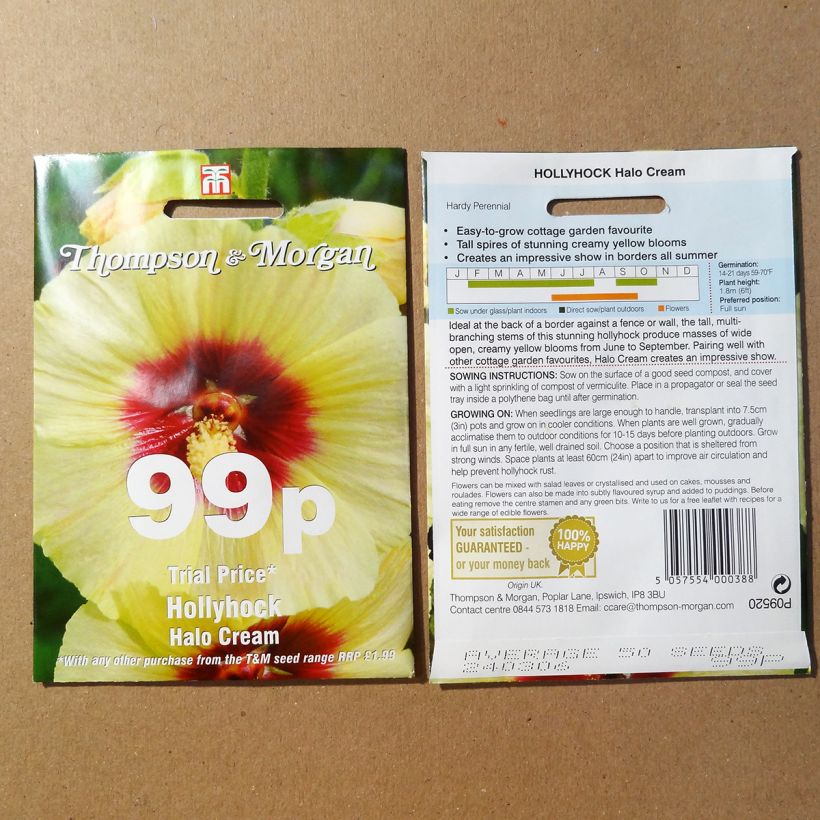 Example of Alcea rosea Halo Cream - Hollyhock per pack of 25 seeds specimen as delivered