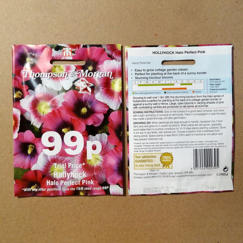 Example of Alcea rosea Halo Perfect Pink - Hollyhock per pack of 25 seeds specimen as delivered