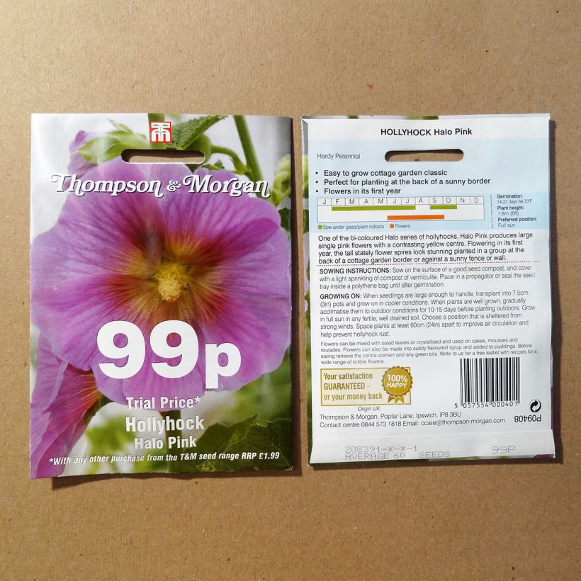 Example of Alcea rosea Halo Pink - Hollyhock per pack of 25 seeds specimen as delivered