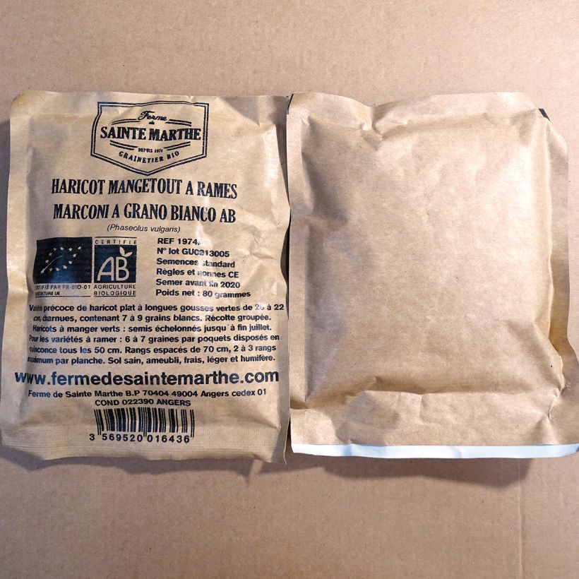 Example of Pole Bean Marconi a Grano Bianco - Ferme de Sainte Marthe Seeds per pack of 160 seeds (80g) specimen as delivered