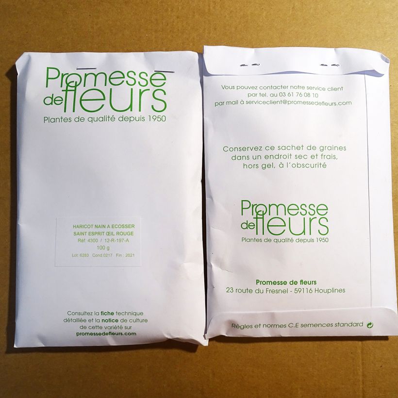 Example of Bush Dry Bean Saint-Esprit à Oeil Rouge per pack of 170 seeds (100g) specimen as delivered