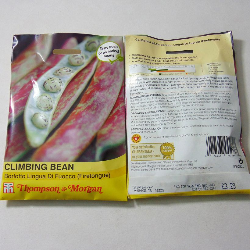 Example of Runner Bean to Shell Borlotto Firetongue per pack of 75 seeds specimen as delivered