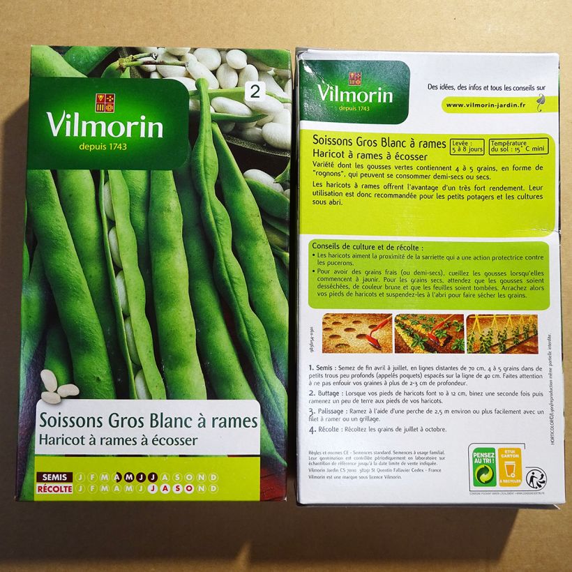 Example of Climbing Bean to Shell Soissons Large White - Vilmorin seeds per pack of 400 seeds (200g) specimen as delivered