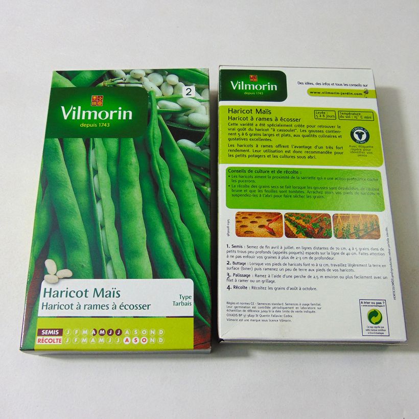 Example of Pole Dry Bean Maïs Tarbais - Vilmorin Seeds per pack of 180 seeds specimen as delivered
