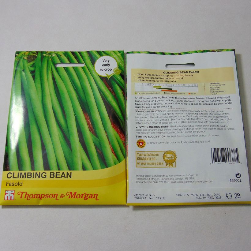 Example of Climbing bean with net Fasold per pack of 40 seeds specimen as delivered
