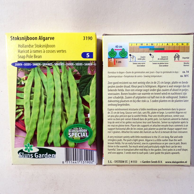 Example of French Pole Bean Algarve per pack of 170 seeds (85g) specimen as delivered