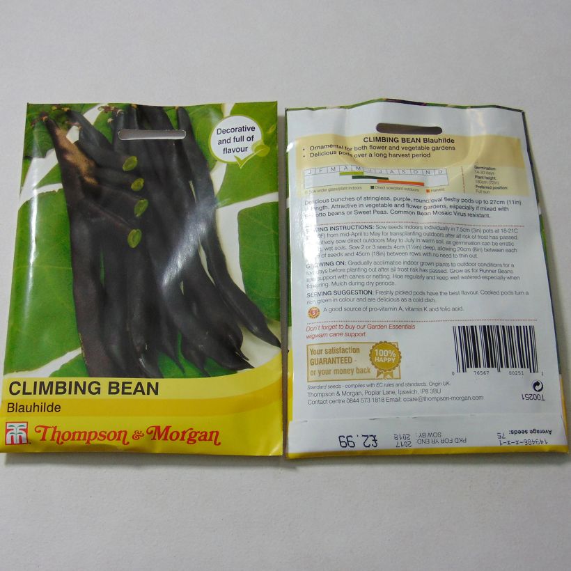 Example of Climbing Bean Blauhilde specimen as delivered