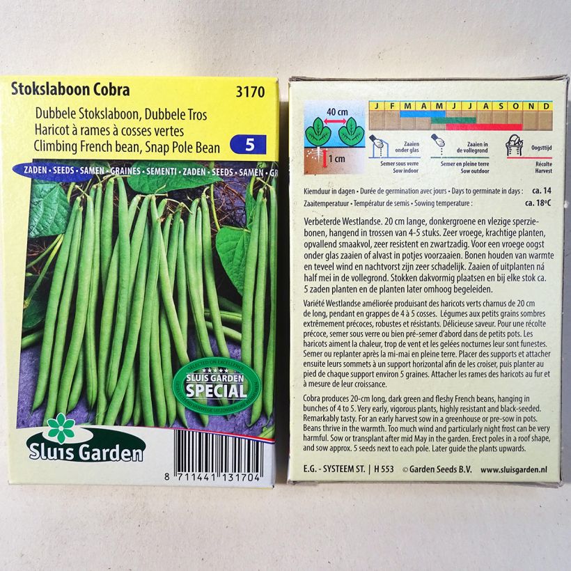 Example of French Pole Bean Cobra per pack of 130 seeds (65g) specimen as delivered