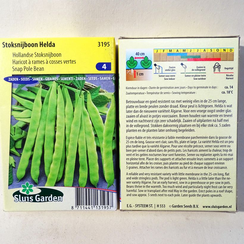 Example of French Pole Bean Helda per pack of 150 seeds (85g) specimen as delivered