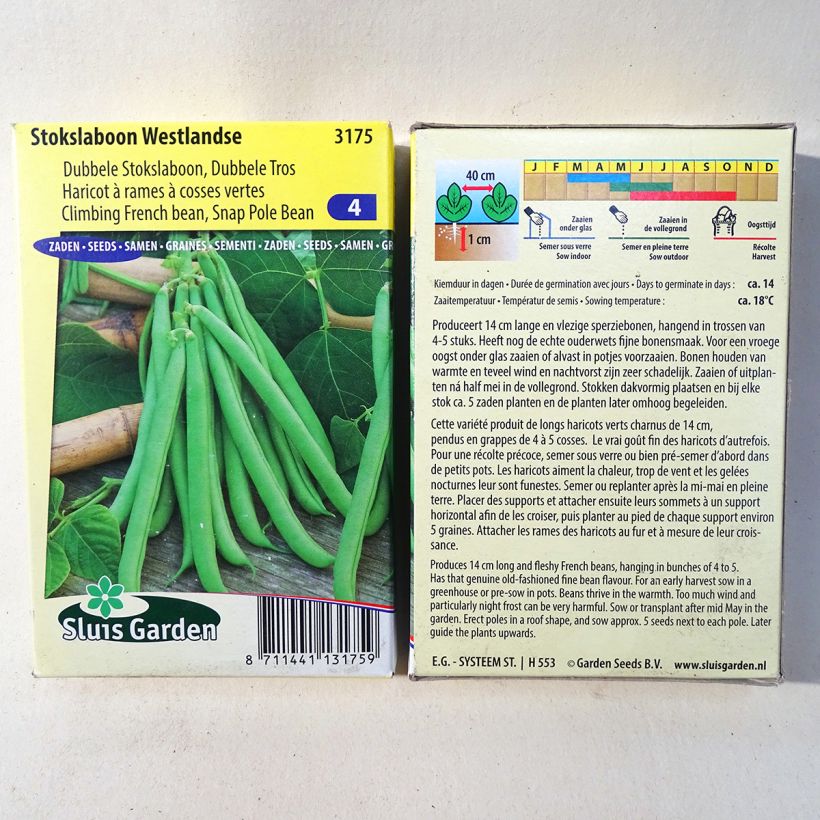 Example of Climbing bean mangetout Westlandse per pack of 200 seeds (100g) specimen as delivered