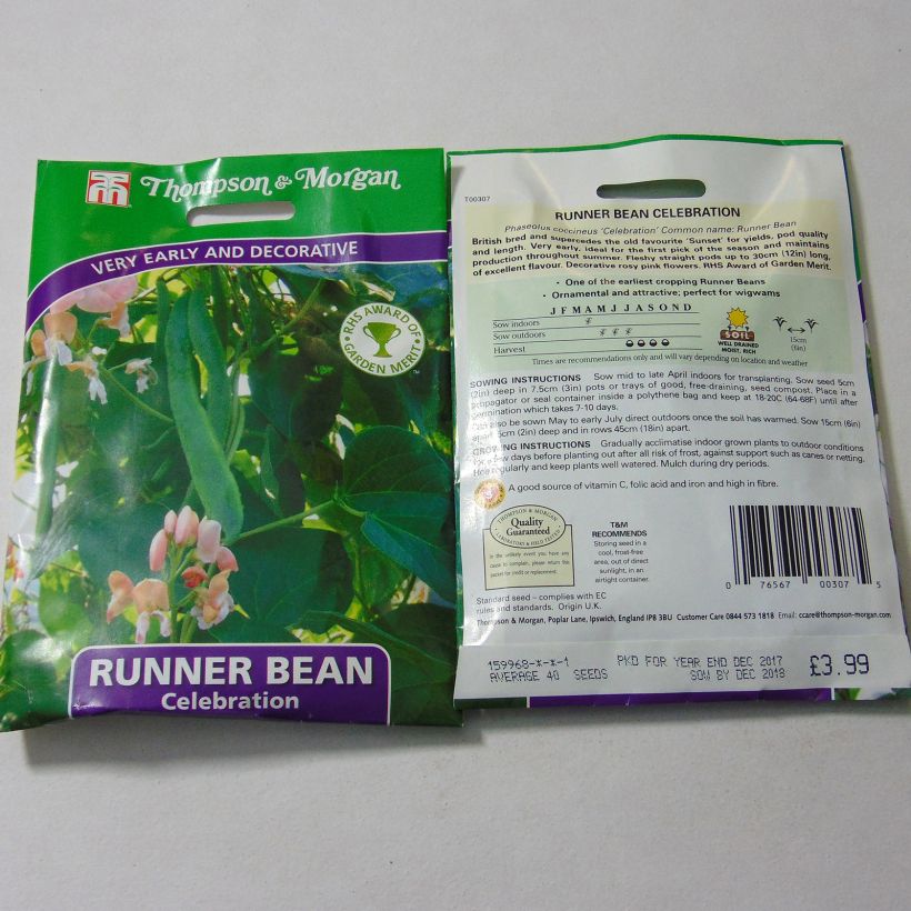 Example of Runner Bean  Celebration per pack of 40 seeds specimen as delivered