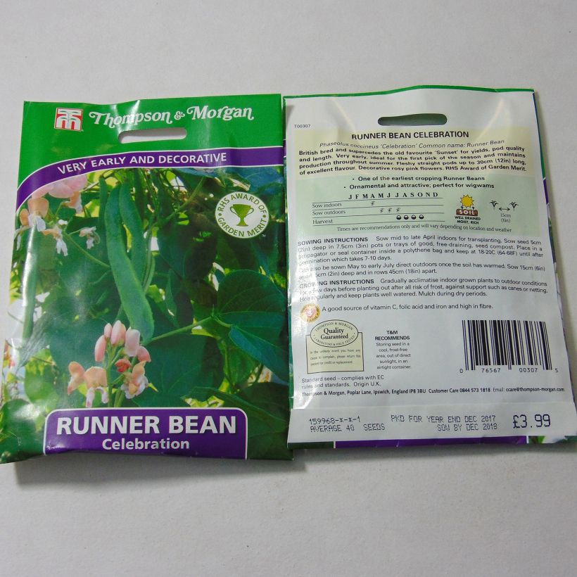 Example of Runner Bean  Celebration specimen as delivered