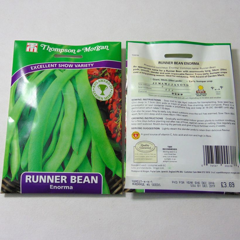 Example of Runner Bean Enorma per pack of 40 seeds specimen as delivered
