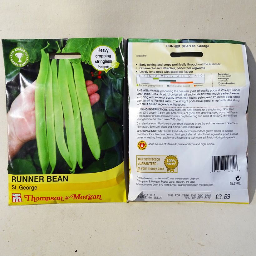 Example of Runner Bean Spanish Bean St. Georg specimen as delivered