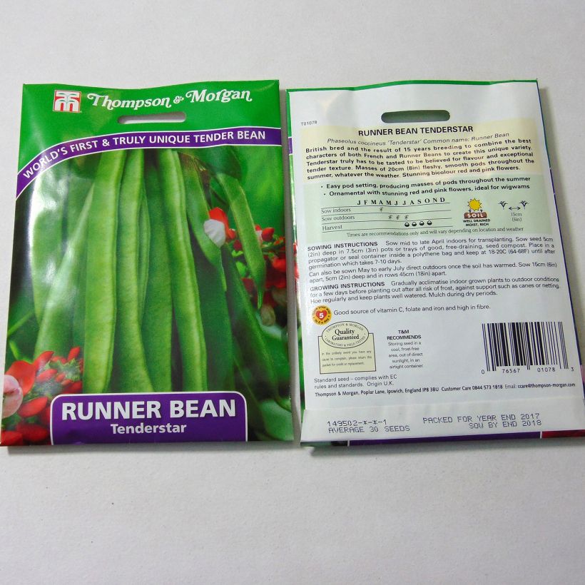 Example of Tenderstar Runner Bean - Flowering Bean per pack of 30 seeds specimen as delivered