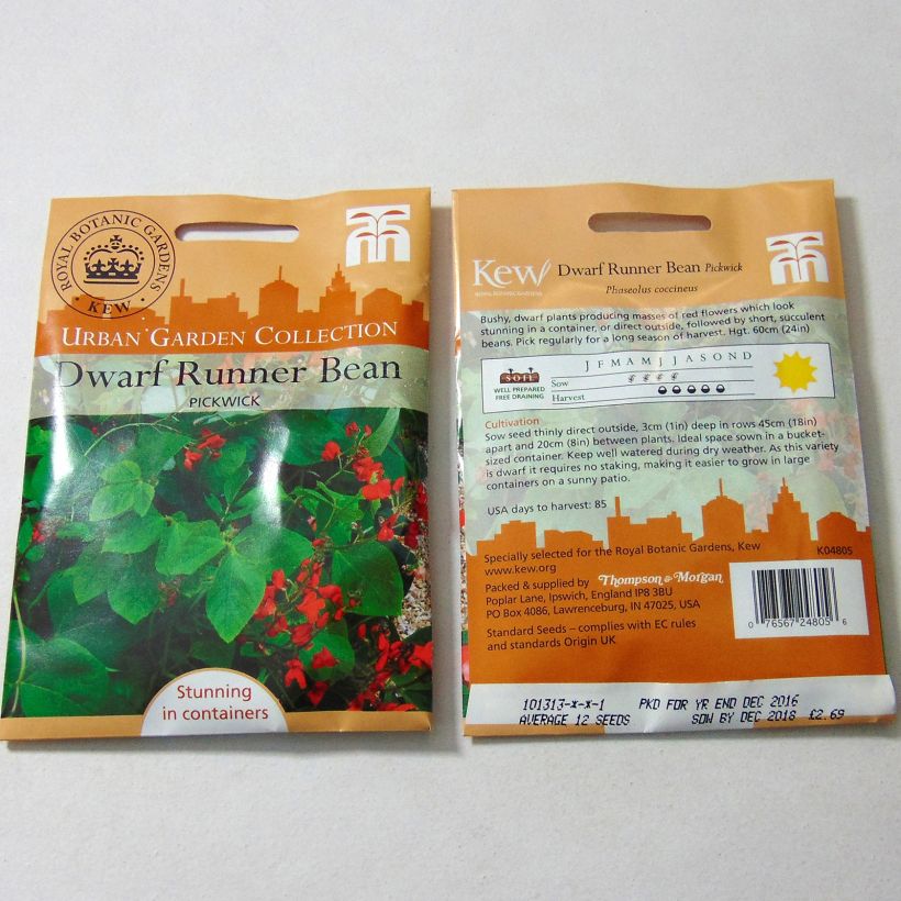 Example of Runner Bean Pickwick Dwarf per pack of 12 seeds specimen as delivered