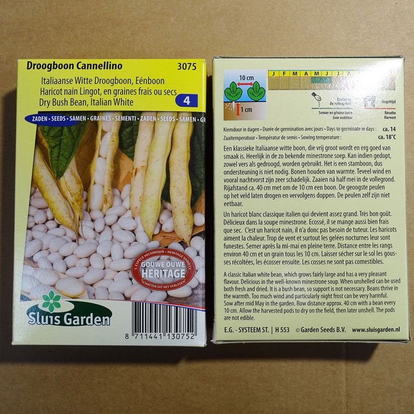 Example of Bush Dry Bean Cannellino per pack of 200 seeds (100g) specimen as delivered