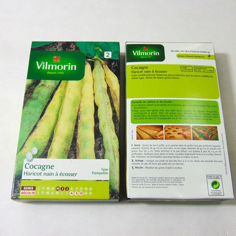 Example of Bush Dry Bean Cocagne - Vilmorin Seeds per pack of 400 seeds (200g) specimen as delivered