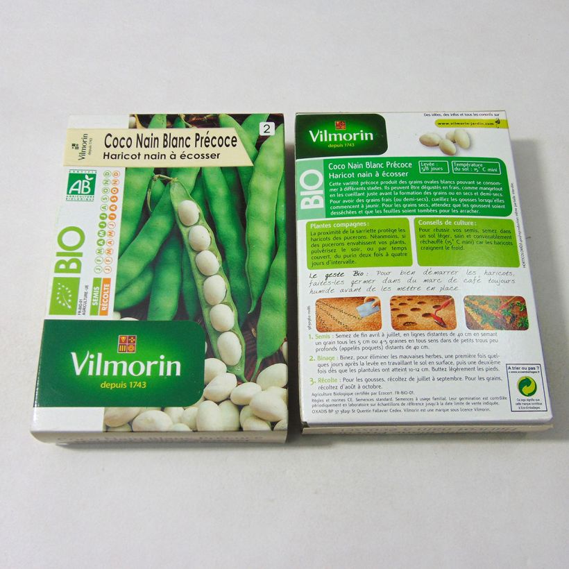 Example of Dwarf Bean for Shelling Early Organic Coco Blanc - Vilmorin seeds per pack of 200 seeds (100g) specimen as delivered