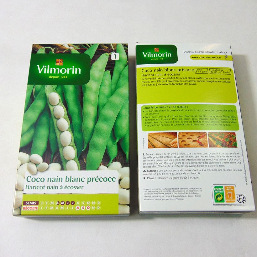 Example of Bush Shell Bean Coco - Vilmorin Seeds per pack of 400 seeds (200g) specimen as delivered